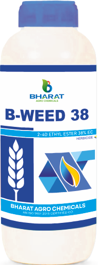 B-Weed 38